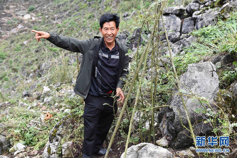 （壮丽70年·奋斗新时代·图文互动）（5）“石头地”里种出新希望——云南西畴县脱贫记