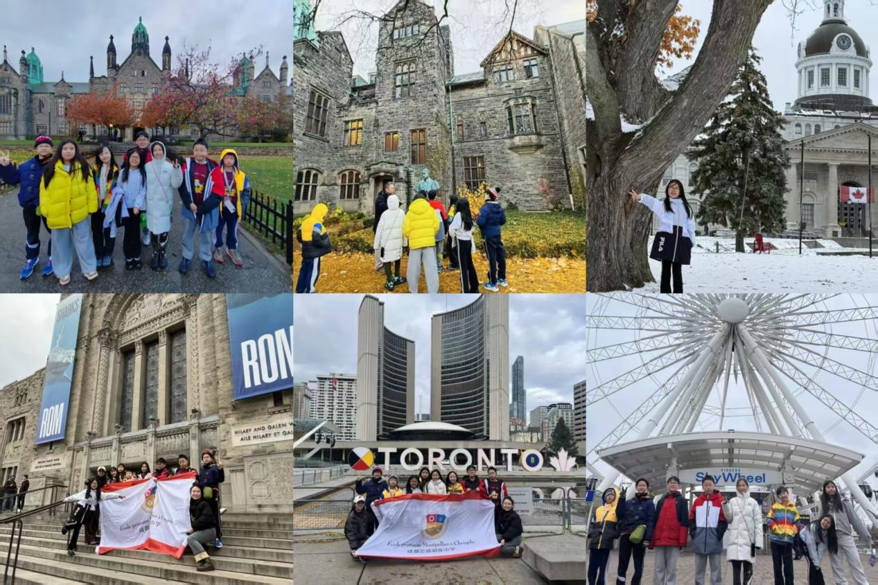 996661de29b86dc70e227d55acc897f3