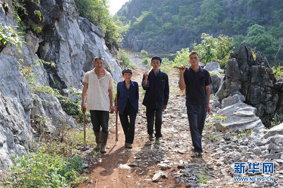 （壮丽70年·奋斗新时代·图文互动）（9）“石头地”里种出新希望——云南西畴县脱贫记